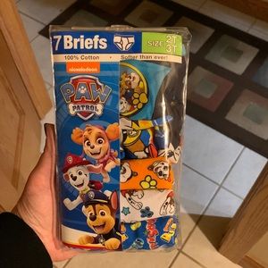 2T/3T Paw Patrol Toddler bRiefs; 5 pairs